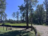 106 Peninsula Drive - Photo 4