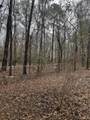 1117 Deer Crossing Road - Photo 22