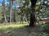 6224 Martin Street - Photo 1