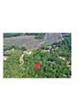 4032 Pine Creek Road - Photo 8