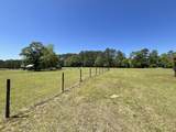 6935 Hickorynut Lane - Photo 67