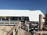 2 Club Cottage Road - Photo 14