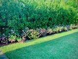 4278 Home Town Lane - Photo 45
