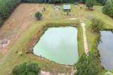 371 Tiny Lane - Photo 36