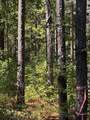 0 Poplar Creek Drive - Photo 10
