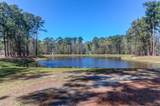1299 Segar Street - Photo 41