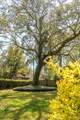 39 Riverdale Drive - Photo 38