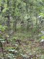 200 Yearling Drive - Photo 16