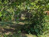 10842 Jefferies - Photo 42