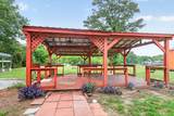 201 Lake Moultrie Drive - Photo 153