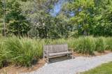 648 Water Lily Trail - Photo 75