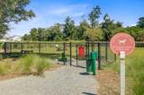 648 Water Lily Trail - Photo 80