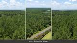 0 Toney Bay Road - Photo 19
