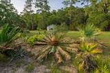 1513 Highway 174 - Photo 29
