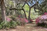 1513 Highway 174 - Photo 78