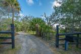 925 Edding Creek Drive - Photo 19