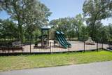 5037 Lady Bird Alley - Photo 49