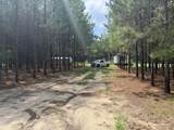 187 Tiny Lane - Photo 1