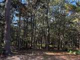 0 Gnarled Oaks Lane - Photo 11