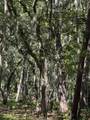 0 Gnarled Oaks Lane - Photo 27