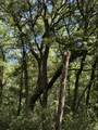 0 Gnarled Oaks Lane - Photo 28