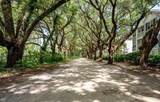 60 Fenwick Hall Alley - Photo 37