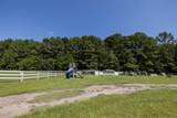 237 Braden Run Road - Photo 32