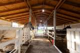 237 Braden Run Road - Photo 47