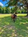 3189 Edenvale Road - Photo 82