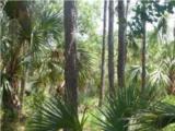 2404 Darts Cove Way - Photo 1