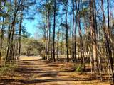 7085 Inman Road - Photo 1