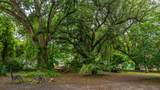 725 Hildebrand Drive - Photo 16
