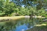1239 White Tail Path - Photo 7