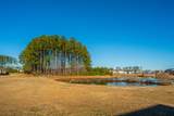 394 Sanctuary Park Drive - Photo 3