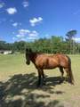 163 Keans Neck Road - Photo 31