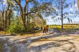 163 Keans Neck Road - Photo 51