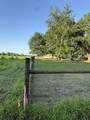 4940 Charleston Highway - Photo 13