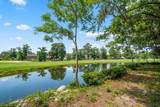 300 Flowering Peach Court - Photo 25