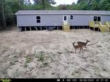 818 Pigeon Bay Road - Photo 41