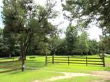 1730 French Santee Road - Photo 23