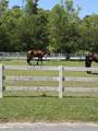 200 Yearling Drive - Photo 6