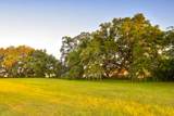 6001 Selkirk Plantation Road - Photo 12