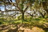 6001 Selkirk Plantation Road - Photo 8
