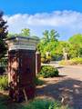 300 Flowering Peach Court - Photo 22