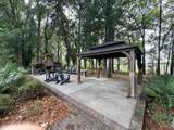 3135 Mulan Lane - Photo 46