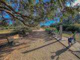 3 Strawberry Lane - Photo 29