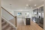 442 Duskywing Drive - Photo 9