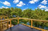 830 Curved Creek Court - Photo 3