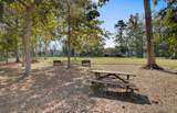 3046 Conservancy Lane - Photo 45