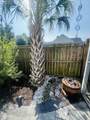 450 Sycamore Shade Street - Photo 12
